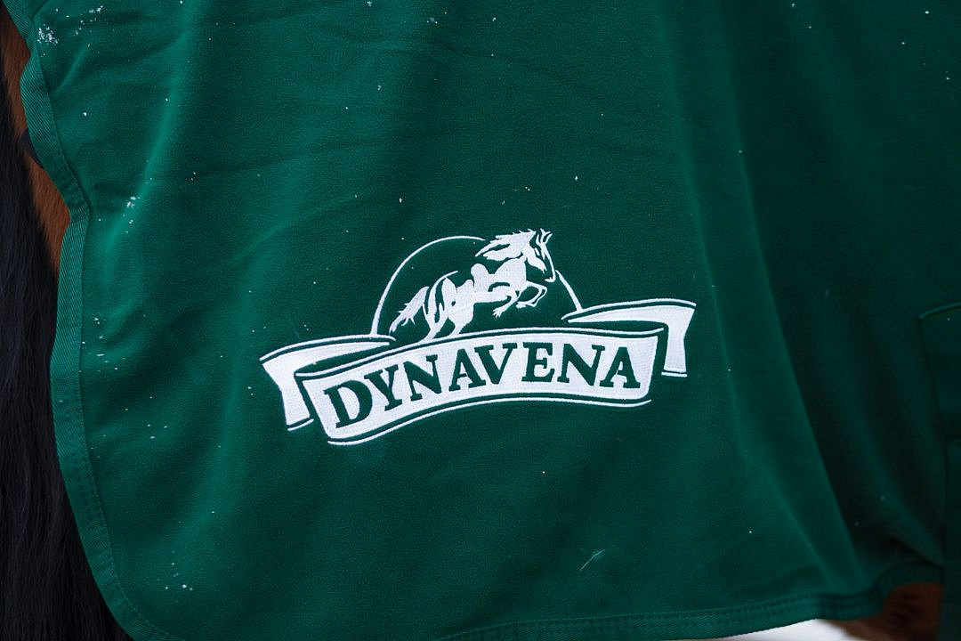 попона флисовая с логотипом Dynavena